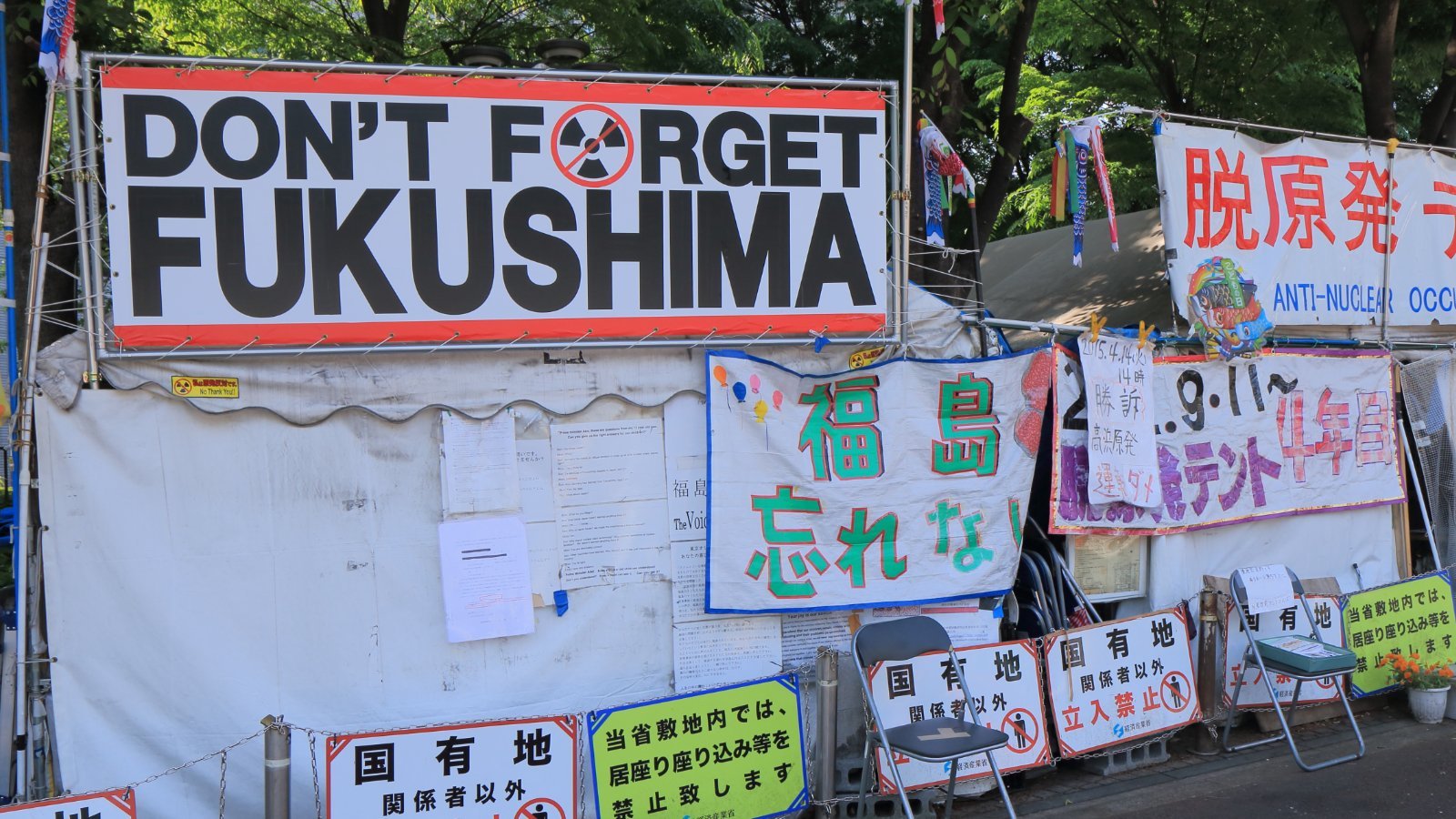 A Reflection on Seaweed in Times of Crisis - Maine Coast Sea Vegetables