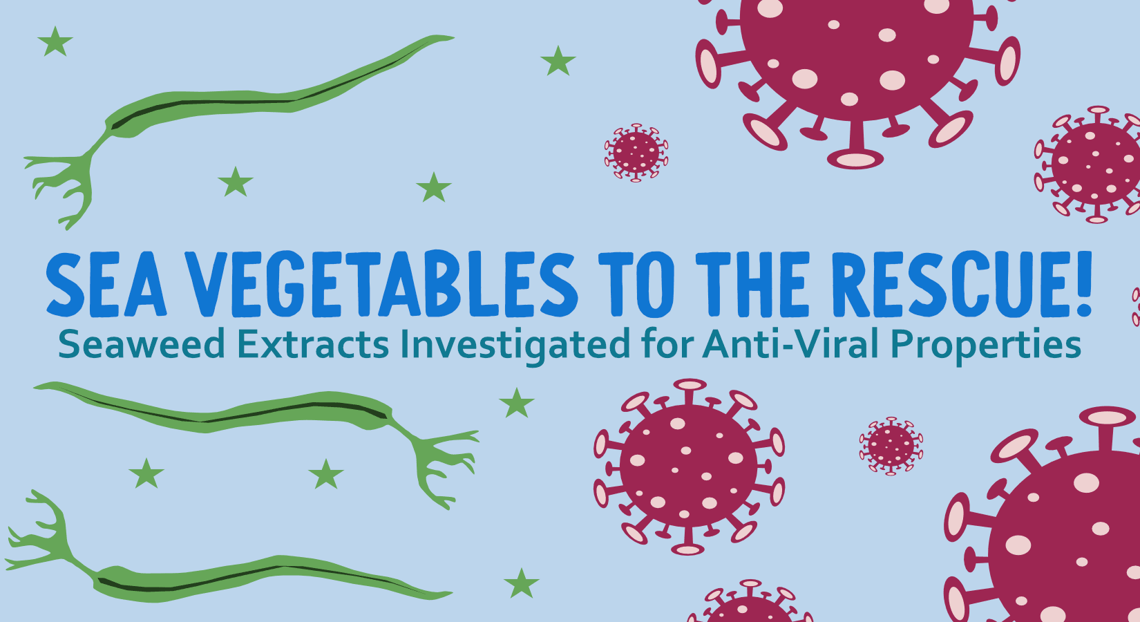 Sea Vegetables to the Rescue: Seaweed Extracts Investigated for Anti-Viral Properties - Maine Coast Sea Vegetables