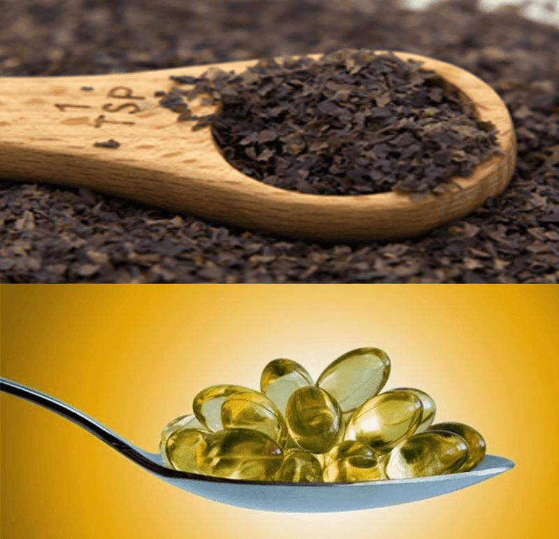 Seaweed and Omega-3 Fatty Acids - Maine Coast Sea Vegetables