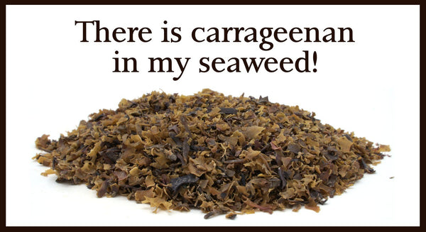 There’s Carrageenan in My Seaweed! Is This a Bad Thing? - Maine Coast Sea Vegetables
