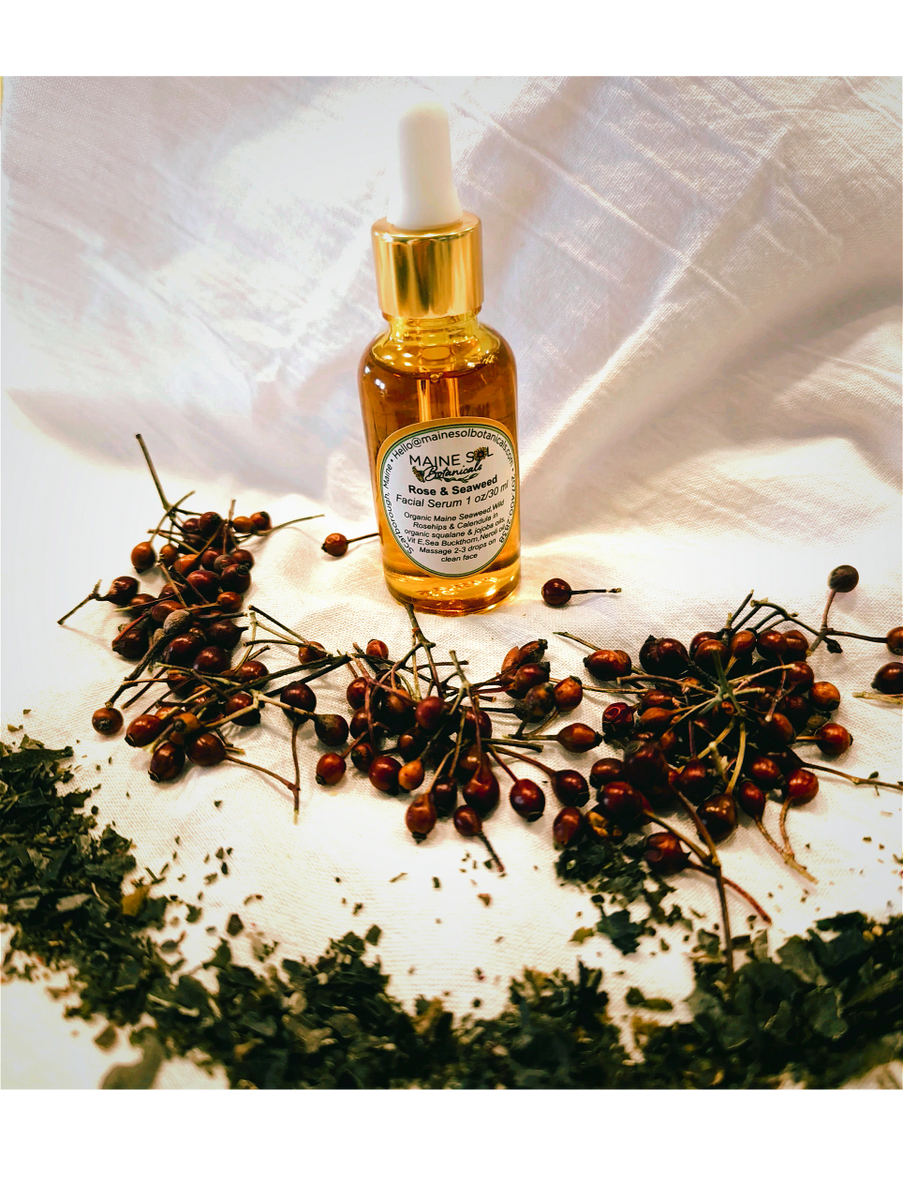 bottle of Maine Sol Botanicals Facial Serum surrounded by rose hips and kelp