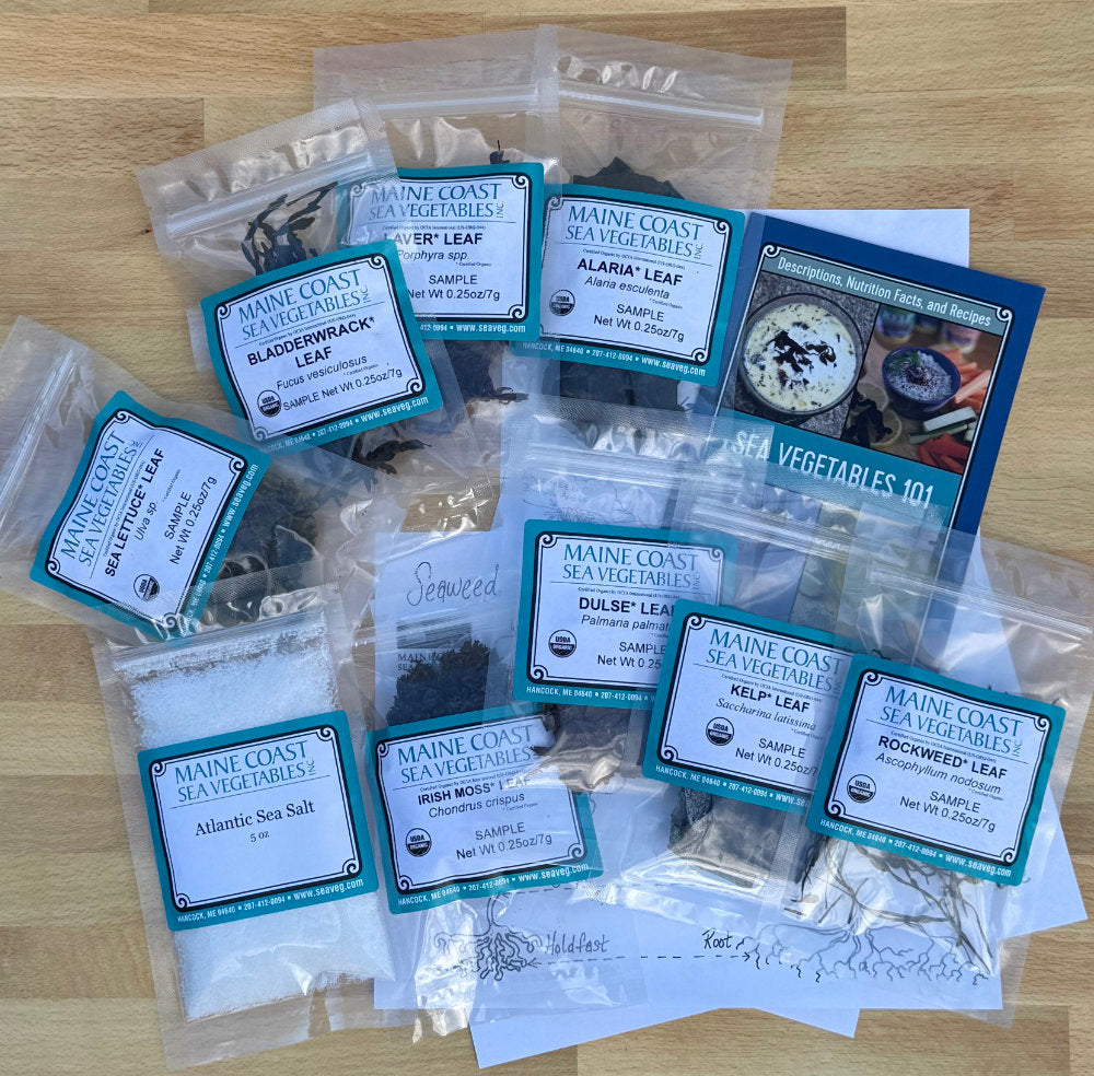 Seaweed Exploration Kit items shown in packaging