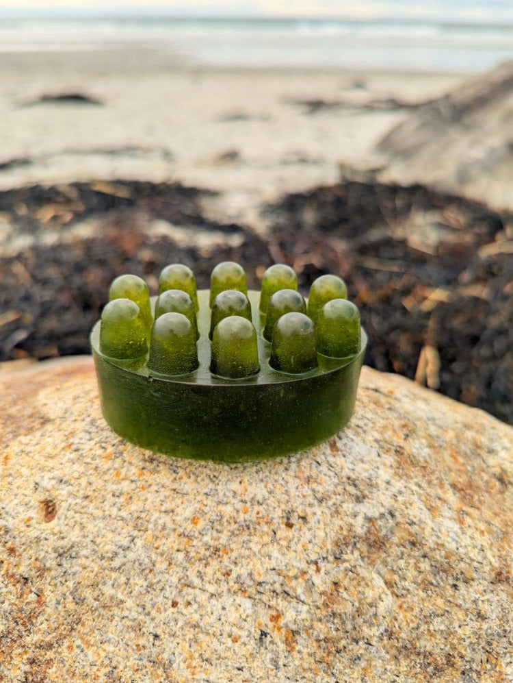 Sol Shampoo Tea Tree and Spirulina on a rock on the Maine coast