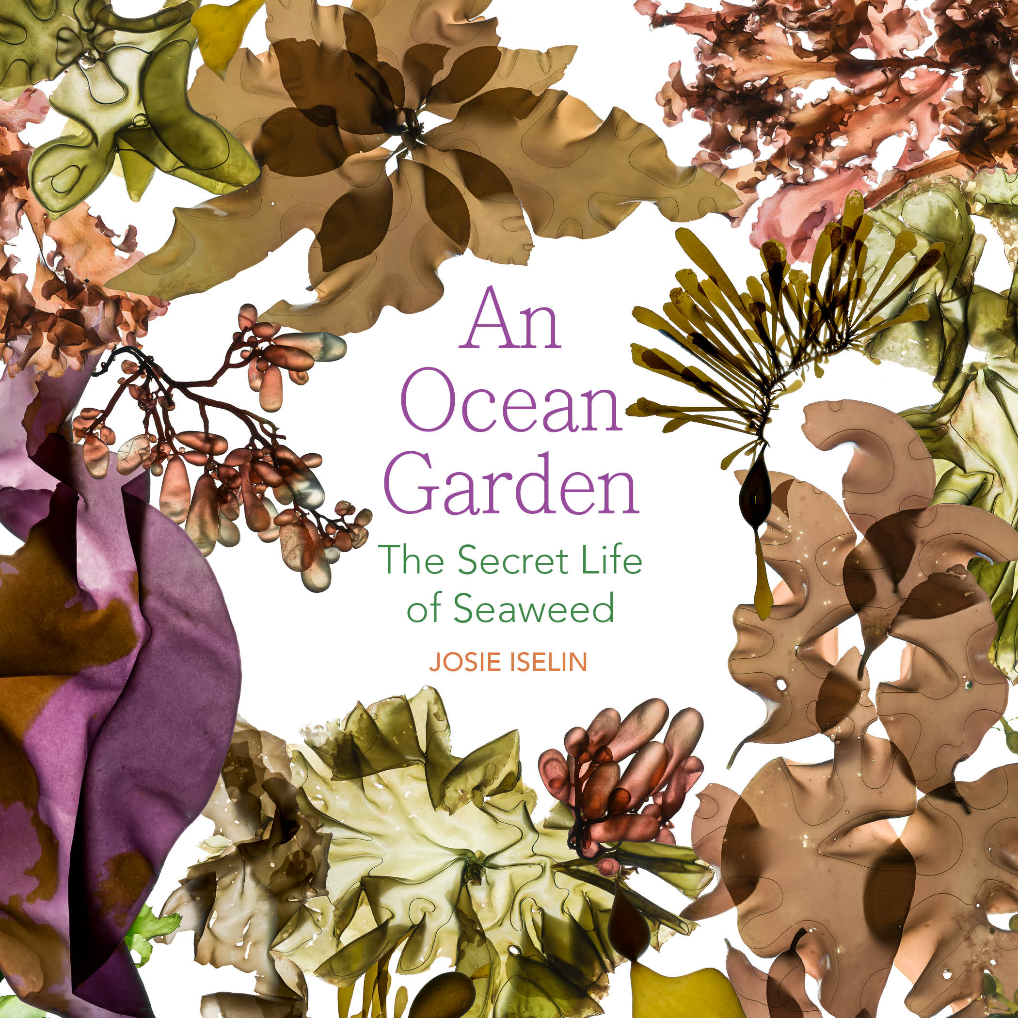An Ocean Garden: The Secret Life of Seaweed - Paperback Book - By Josie Iselin - Maine Coast Sea Vegetables