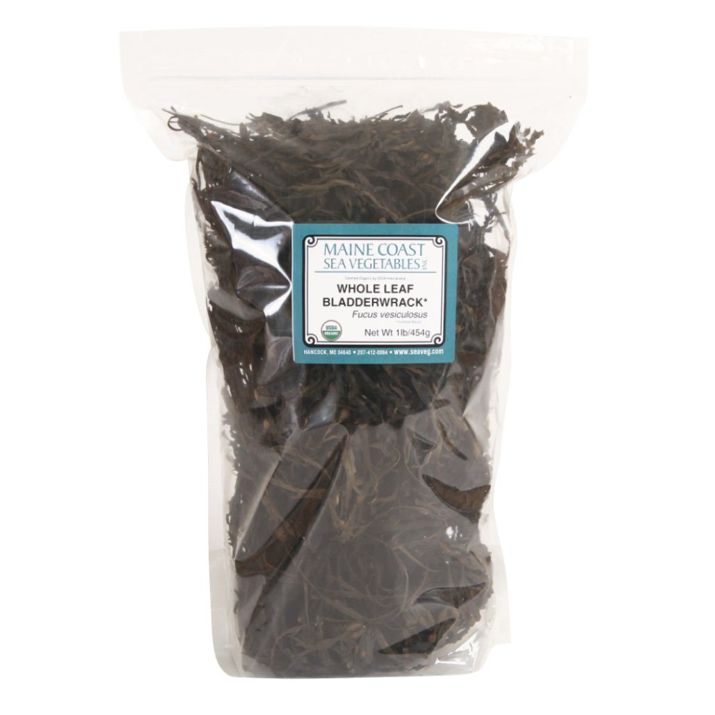 Bladderwrack Whole Leaf - Wild Atlantic - Organic 1 LB - Maine Coast Sea Vegetables