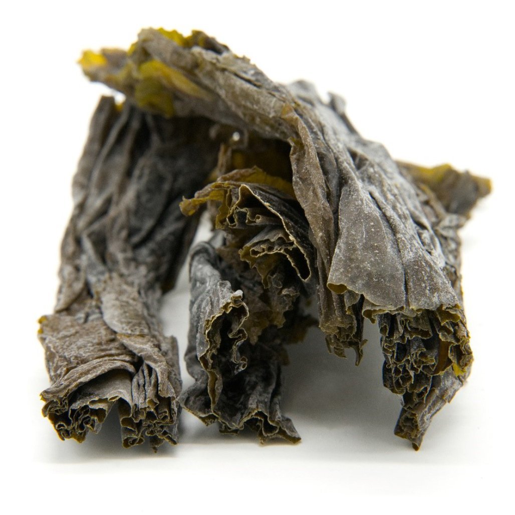 Kelp (Sugar) Whole Leaf - Wild Atlantic Kombu - Organic SAMPLE - Maine Coast Sea Vegetables