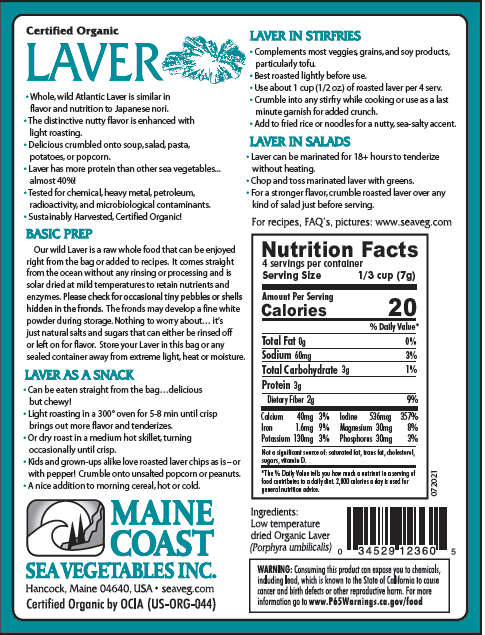 Organic Laver Whole Leaf Bulk (Porphyra umbilicalis) - "Wild Atlantic Nori" - Wild-Harvested Sea Vegetable 1 LB - Maine Coast Sea Vegetables