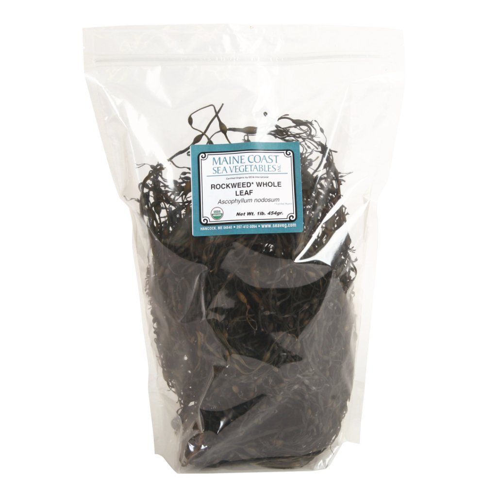 Rockweed Whole Leaf - Wild Atlantic - Organic 1 LB - Maine Coast Sea Vegetables