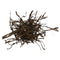 Rockweed Whole Leaf - Wild Atlantic - Organic 2 LBS - Maine Coast Sea Vegetables