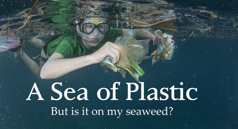A Sea of Plastic: Is Plastic On My Seaweed? - Maine Coast Sea Vegetables