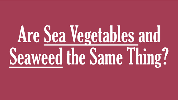 Are Sea Vegetables and Seaweed the Same Thing? - Maine Coast Sea Vegetables