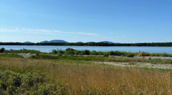 shore line with ocean and Acadia National Park mountains in back ground