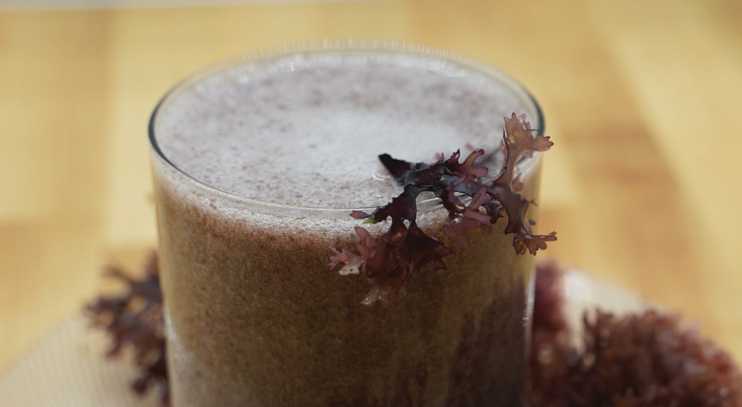 Irish Moss (Chondrus crispus) Gel Recipe - Nourishing Gel for Skin, Hair, and Body - Maine Coast Sea Vegetables