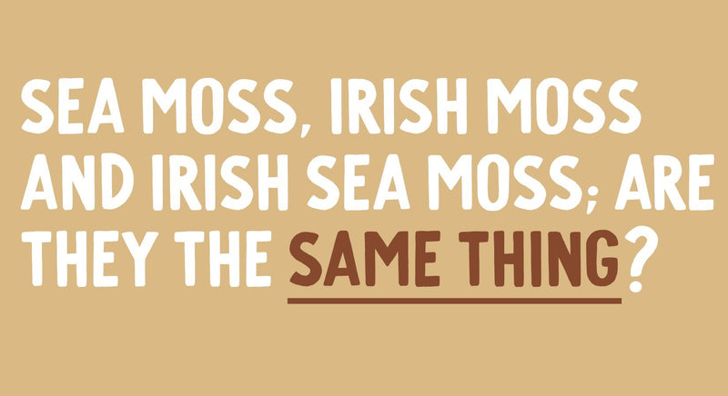 Irish Moss vs. Sea Moss vs. Irish Sea Moss; Are They The Same Thing? - Maine Coast Sea Vegetables