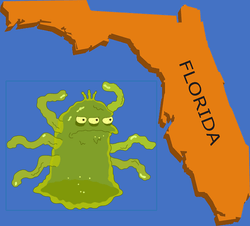 Is the Giant Sargassum Seaweed Blob Threatening Florida Edible? - Maine Coast Sea Vegetables