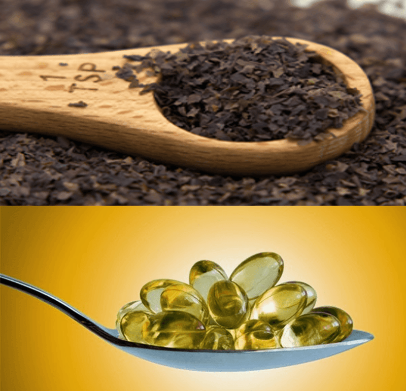 Seaweed and Omega-3 Fatty Acids