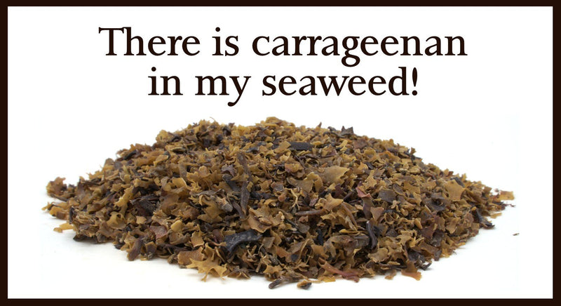 There’s Carrageenan in My Seaweed! Is This a Bad Thing? - Maine Coast Sea Vegetables