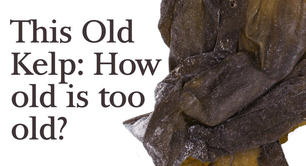 This Old Kelp… How Old is Too Old? Can Seaweed Expire? - Maine Coast Sea Vegetables