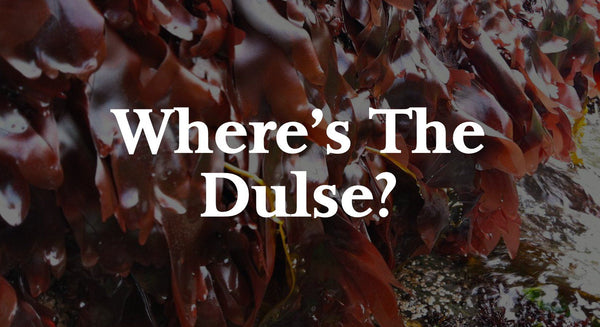 Where's The Dulse!? An Explanation of Seaweed Shortages and Order Limits - Maine Coast Sea Vegetables