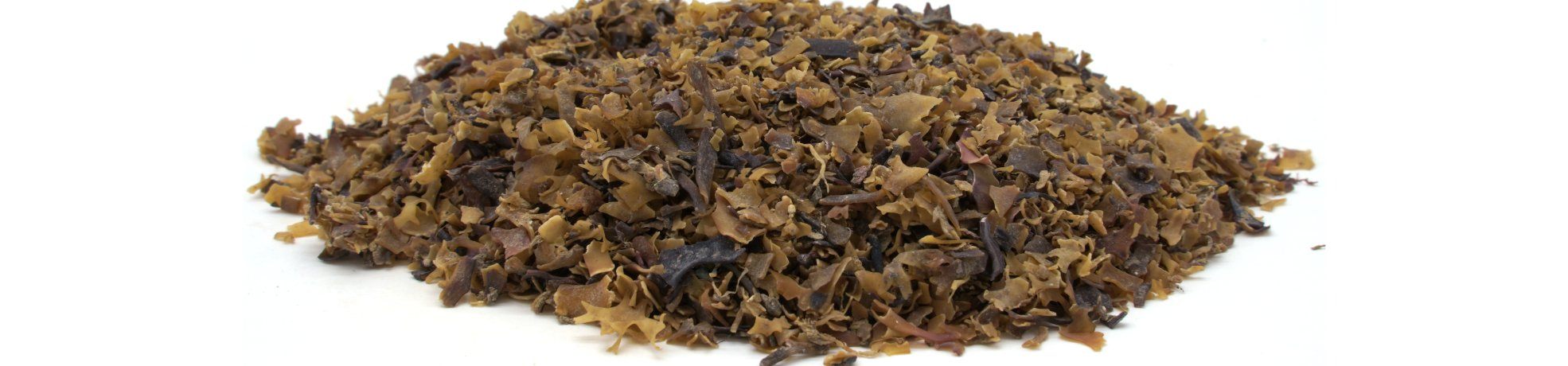 Irish Moss - Wild Atlantic | Maine Coast Sea Vegetables