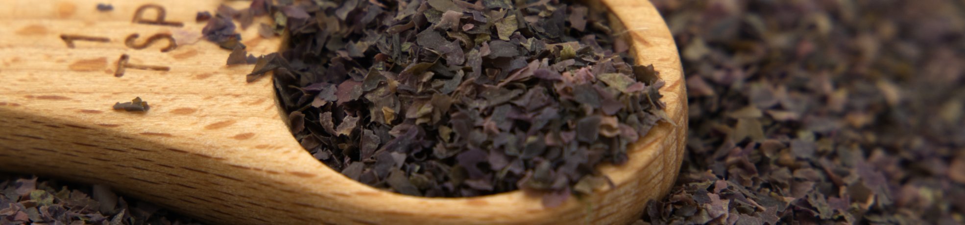 Laver "Wild Atlantic Nori" | Maine Coast Sea Vegetables