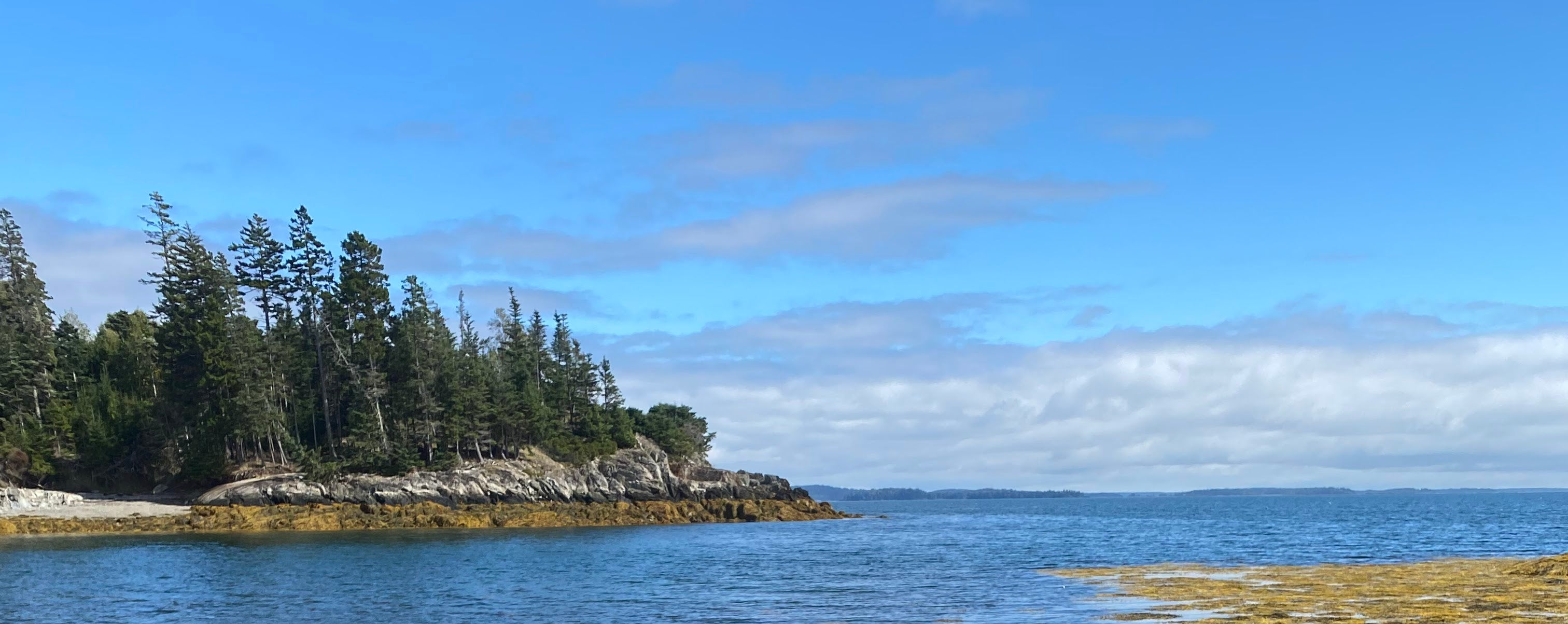 Maine Coast with rocky, pine covered shore line