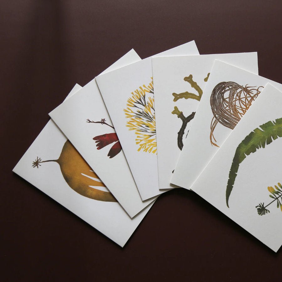 Wild Sea Note Cards - 12 blank cards - Blue Hill Books