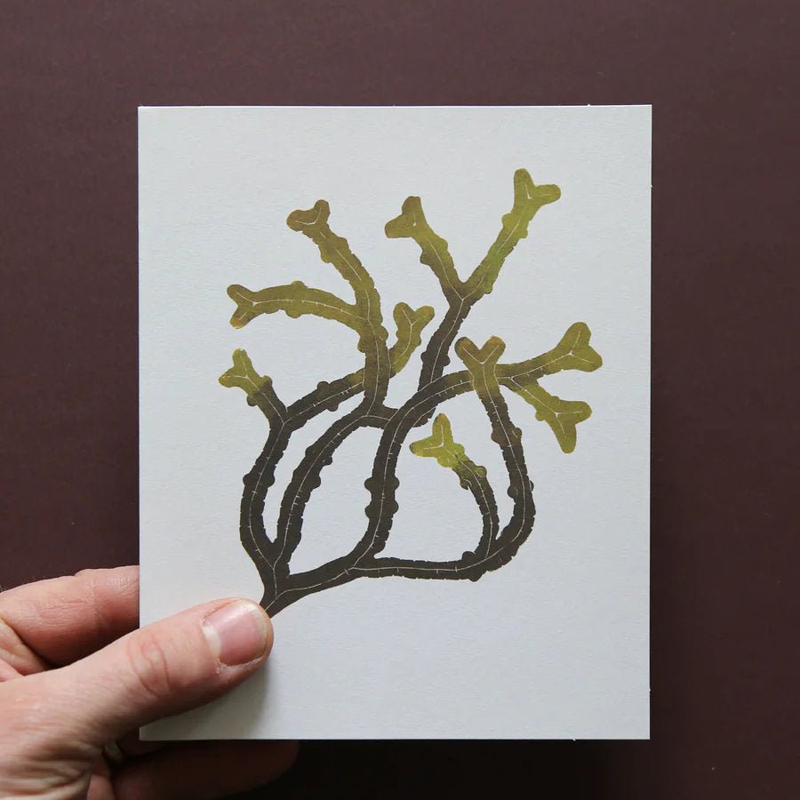 Wild Sea Note Cards - 12 blank cards - Blue Hill Books