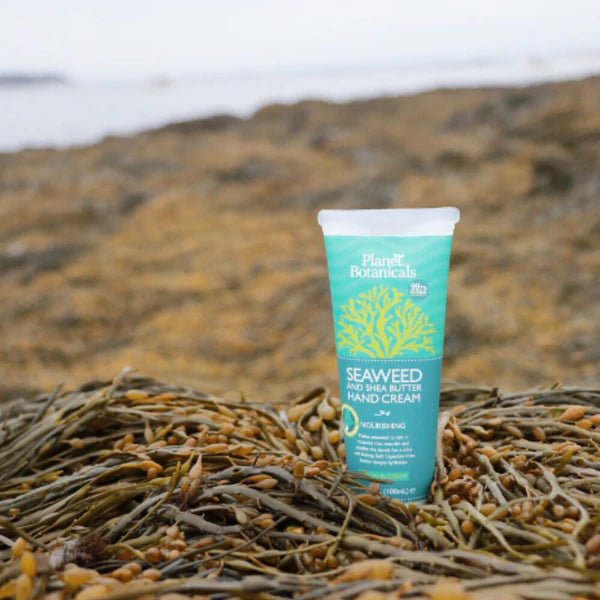 Seaweed Hand Cream 4 oz - Planet Botanicals - Planet Botanicals